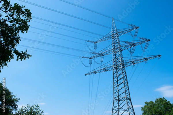 Fototapeta Strommast mit Grün