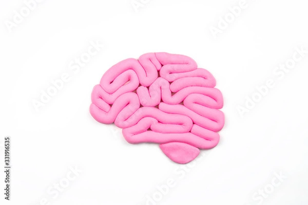 Fototapeta Model of pink human brain on white background. Profile view, flat lay. Intelligence concept. 