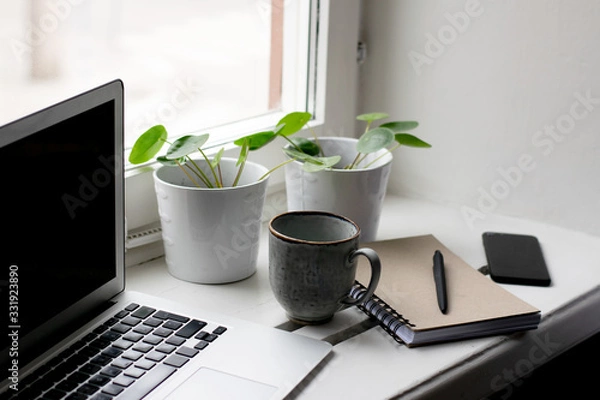 Fototapeta Workplace at home with cup of coffee, laptop, plants, mobile, notebook and pen on table