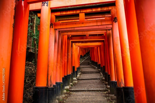 Fototapeta 京都伏見稲荷 千本鳥居