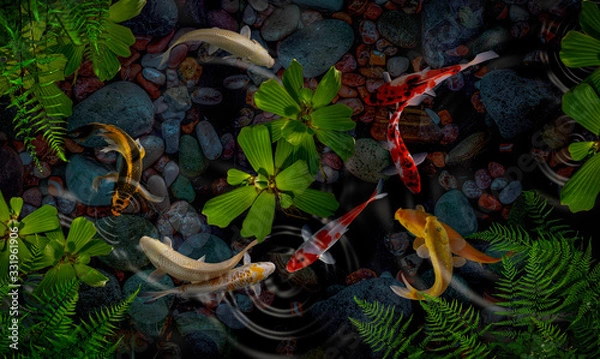 Obraz Koi fish in the garden 