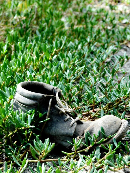 Obraz Old Boot