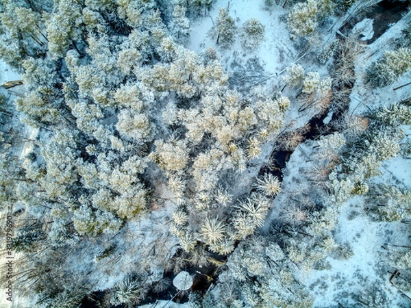 Obraz River in snowy forest