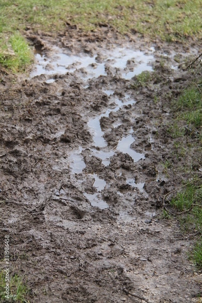Fototapeta An Area of Wet Sticky Mud at a Grass Field Entrance.