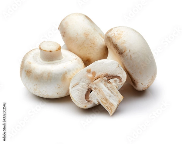 Fototapeta Mushroom Isolated on White Background