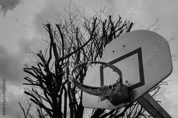 Obraz Broken basket with broken net and cuted tree