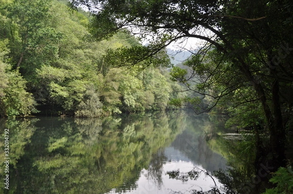 Obraz River with vegetation reflection 