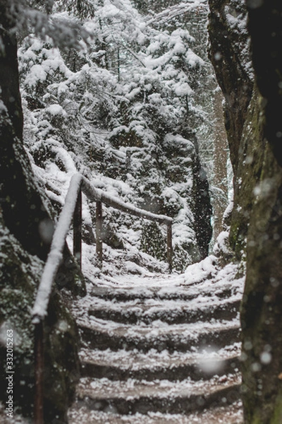 Obraz ścieżka w górach