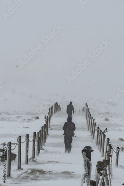 Obraz Wędrówka górka