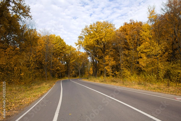 Fototapeta curving autumn road in forest