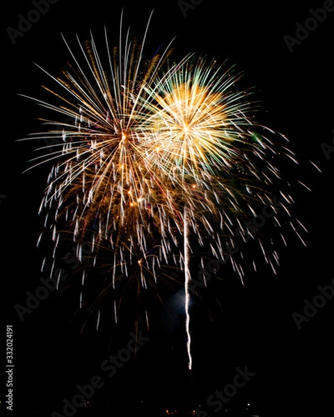 Obraz New Years or 4th of July Fireworks in a Night Sky