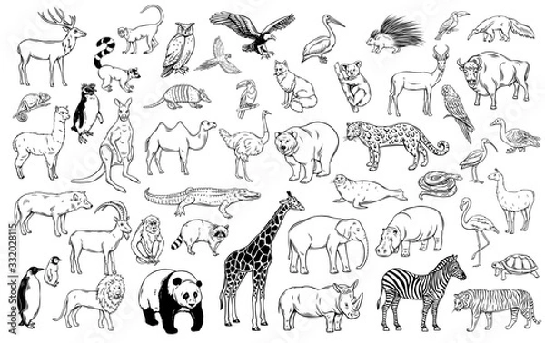 Obraz Zwierzęta z zoo tradycyjne