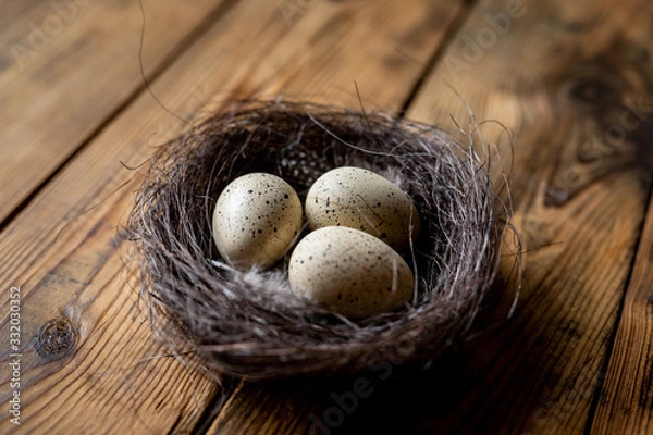 Fototapeta birds eggs in nest on rustic wooden background