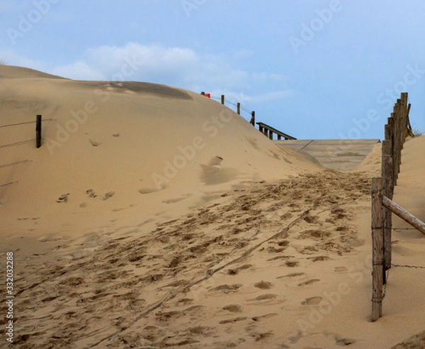 Obraz walking dunes