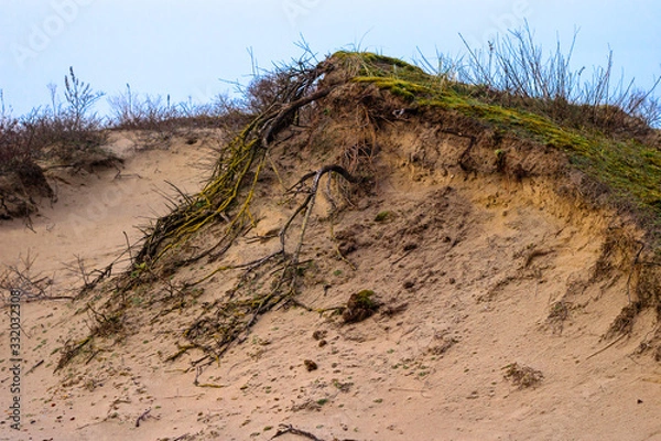 Obraz dutch dunes eroding