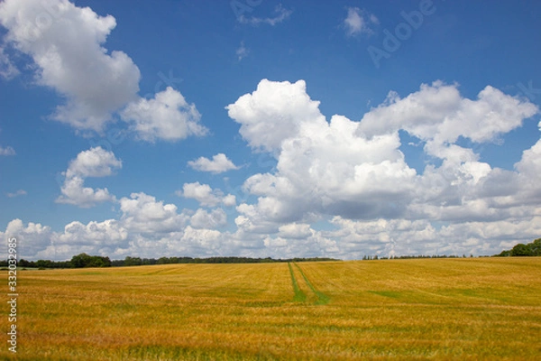 Fototapeta Farmland landscape of Lolland island in southern Denmark