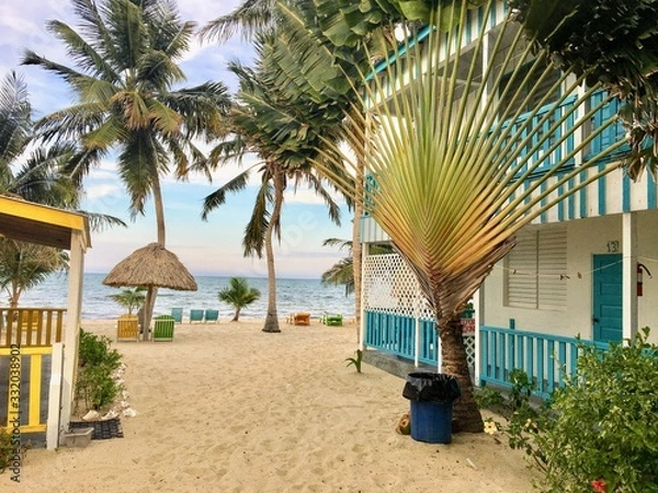 Fototapeta Beautiful sandy beach with a beach house surrounded by sand and flowers in the tropical town of Placencia, Belize
