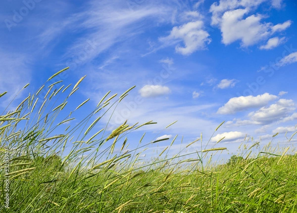 Fototapeta Windy day