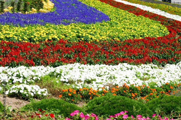 Obraz ぜるぶの丘の花畑