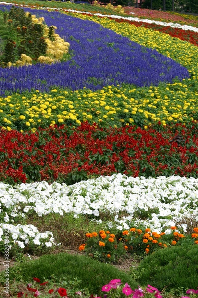 Obraz ぜるぶの丘の花畑