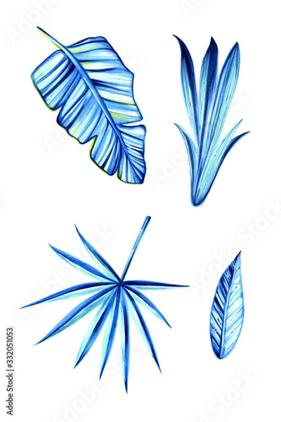 Fototapeta  Exotic, tropical leaf set. Summer mood in a combination of colors, blue, turquoise, yellow and green. Isolated on a white background. Set for your product design.