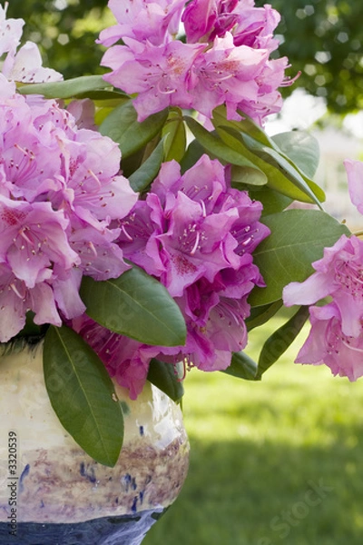 Obraz flowers and vase