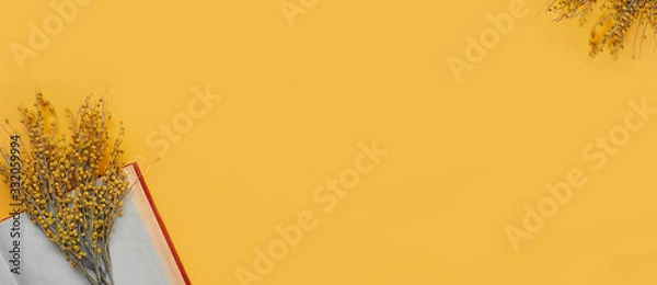 Fototapeta books day Monochrome mockup banner. A beautiful spring bouquet of fresh Mimosa enclosed in a book with old yellow pages without dough.