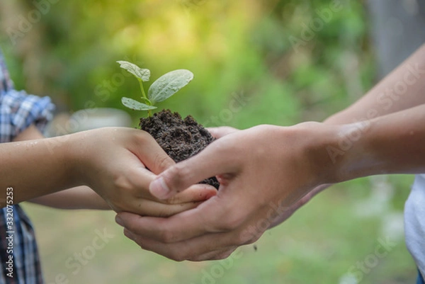 Obraz A boy holding seedlings in soil with both hands and the other boy protect to not drop. Select focus on seedling.Natural blur background.
