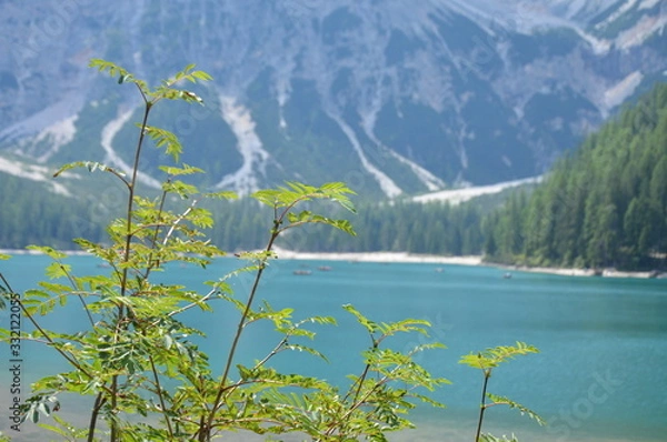 Obraz Pragser Wildsee