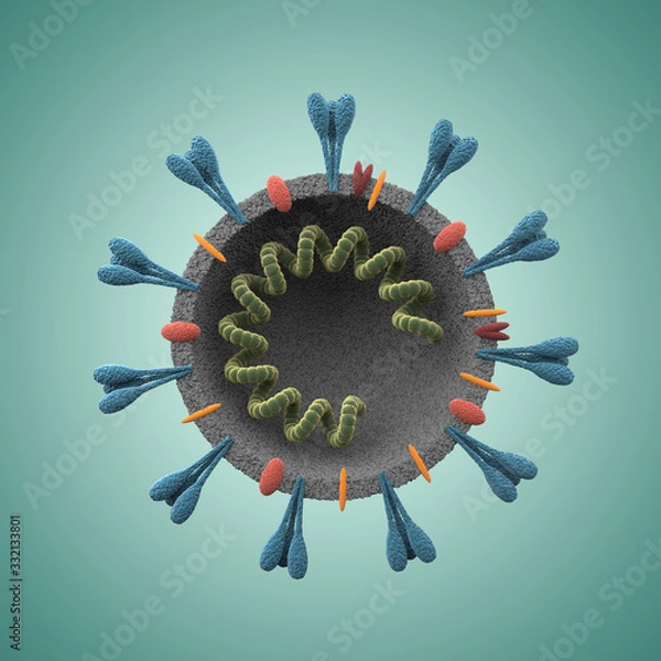 Obraz Coronavirus, Covid-19, Structure