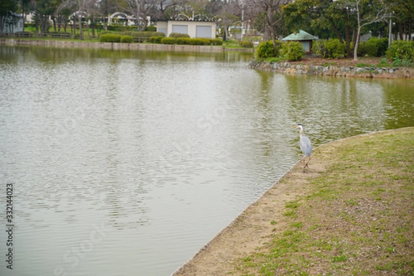 Fototapeta 住之江公園　周辺風景
