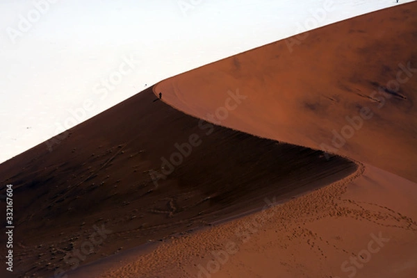 Obraz Walking alone in the desert