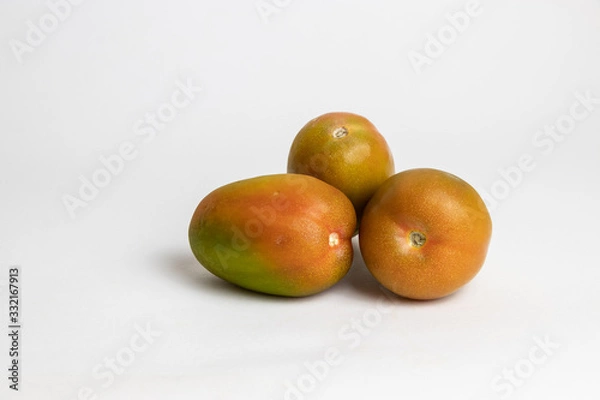 Obraz Pomodoro oblungo 