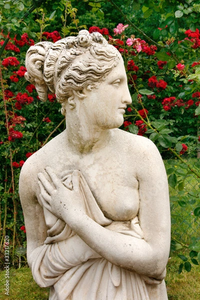 Obraz Statue der Venus im Rosengarten