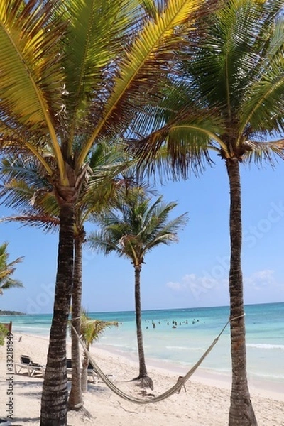 Fototapeta Beach palms
