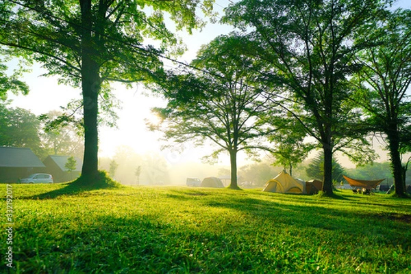 Obraz キャンプ場