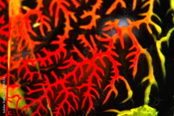 Obraz Farbe auf Glas