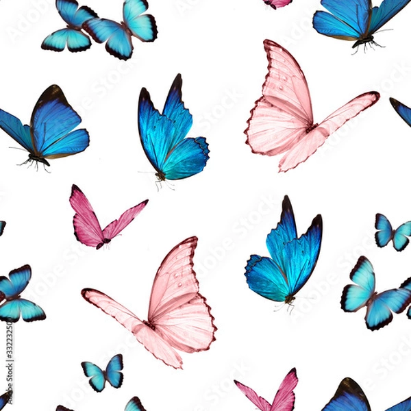 Obraz seamless pattern butterfly