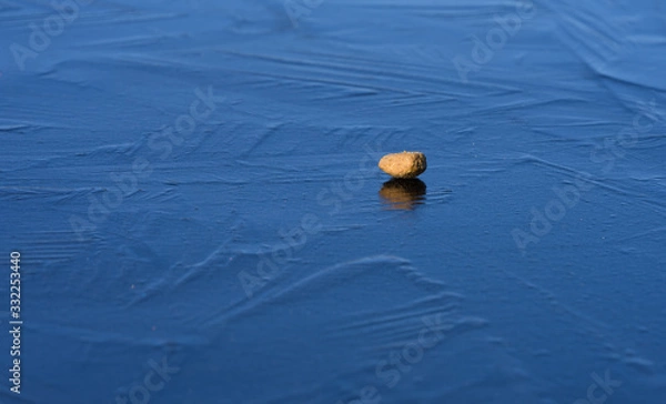Obraz Kibble of dog dry food on blue ice. Light brown pellet reflecting from slippery surface. Ice pattern. Bright spring outdoor day. 