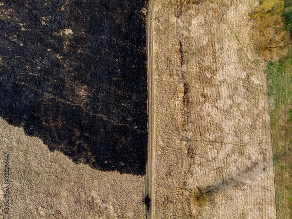 Fototapeta Spring fields