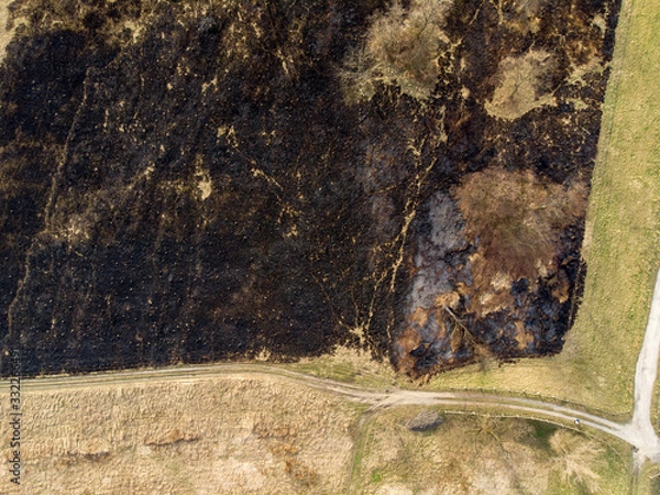 Fototapeta Spring fields