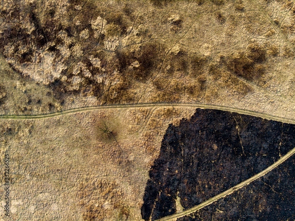 Fototapeta Spring fields