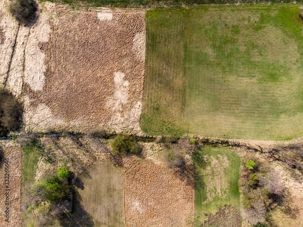 Fototapeta Spring fields