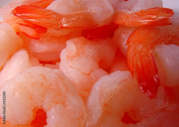 Fototapeta shrimp macro