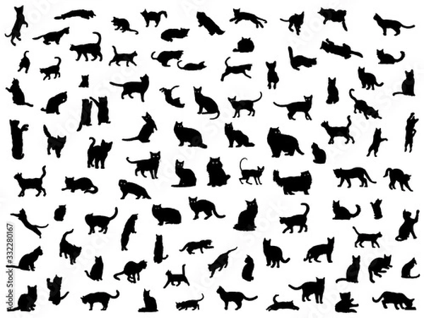 Obraz ネコ_シルエット