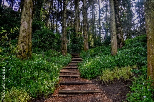 Obraz CAMINHO DO PARAISO