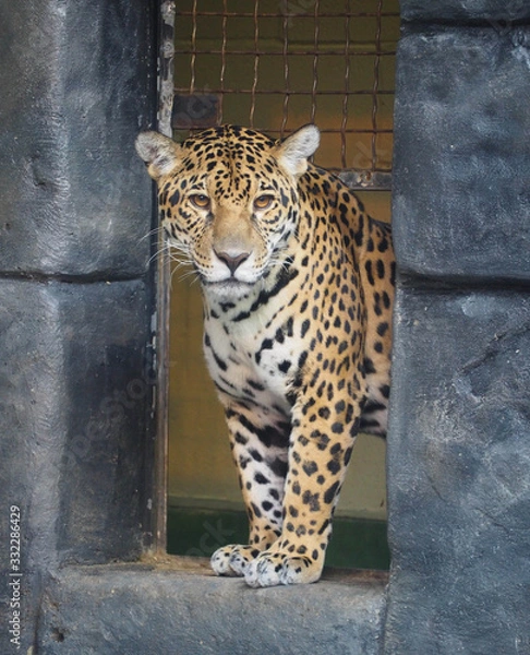 Obraz OLYMPUS DIGITAL CAMERA