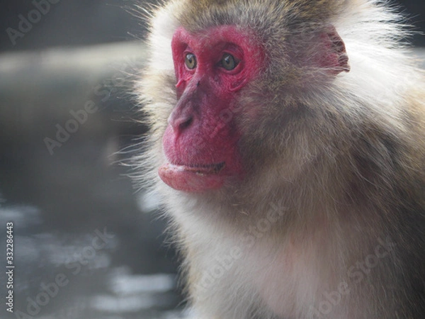 Obraz OLYMPUS DIGITAL CAMERA