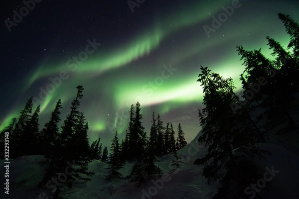 Obraz northern lights in churchill manitoba canada