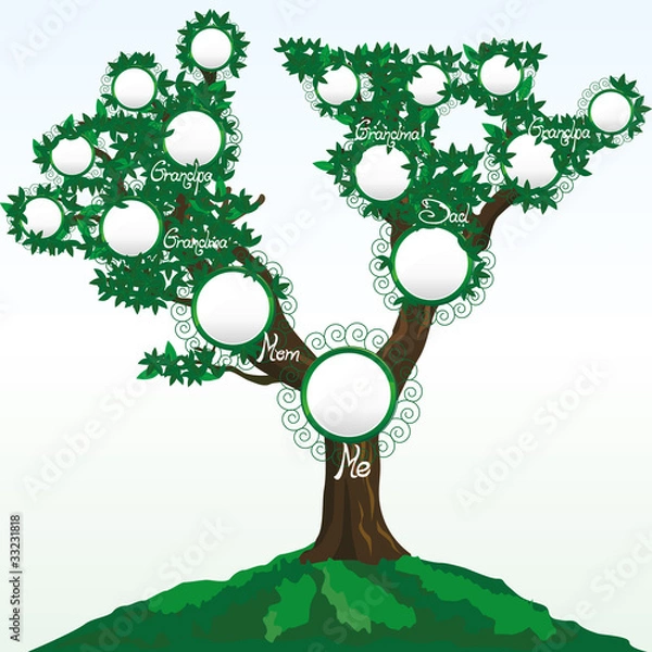 Obraz Drzewo genealogiczne z miejscem na zdjęcia lub imiona, wektor